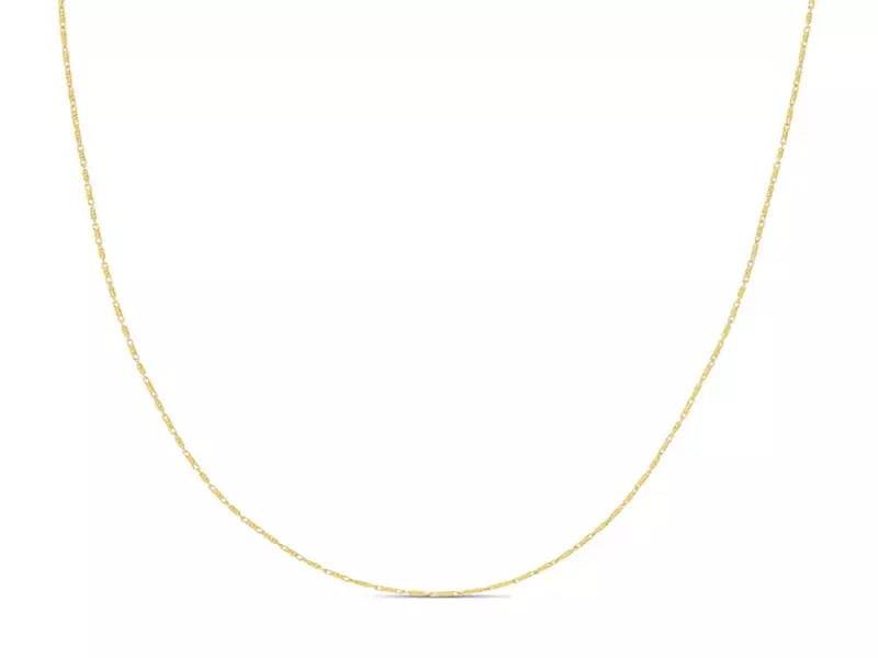 Jared’s Lumacina Chain Necklace 14K Yellow Gold
