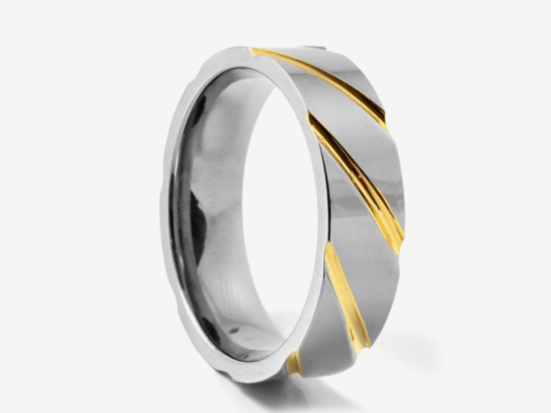 TRENDHIM Unique Silver-Tone and Gold-Tone Titanium Ring